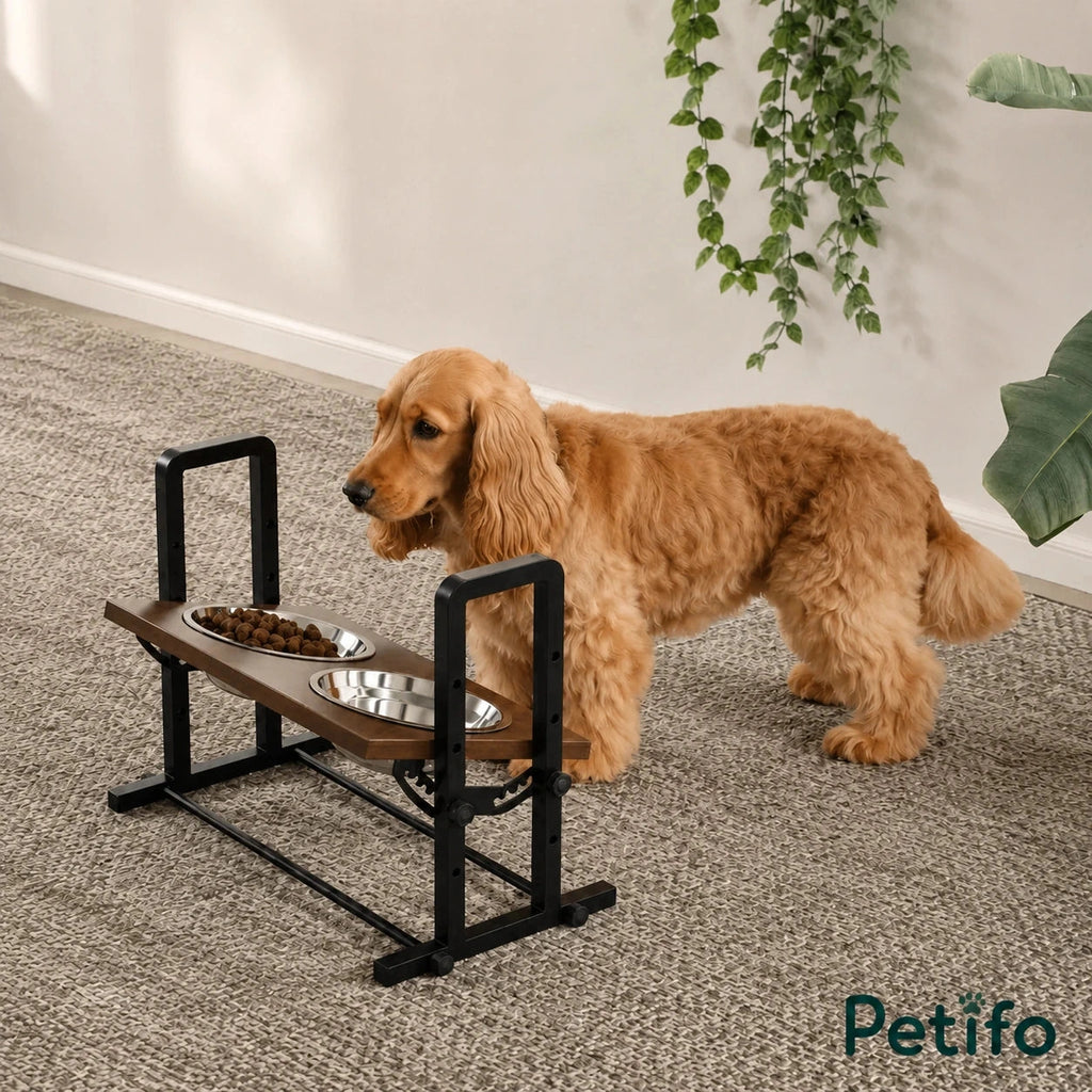 PawHut adjustable raised dog bowls: Spaniel eating from the adjustable raised dog bowls - Petifo