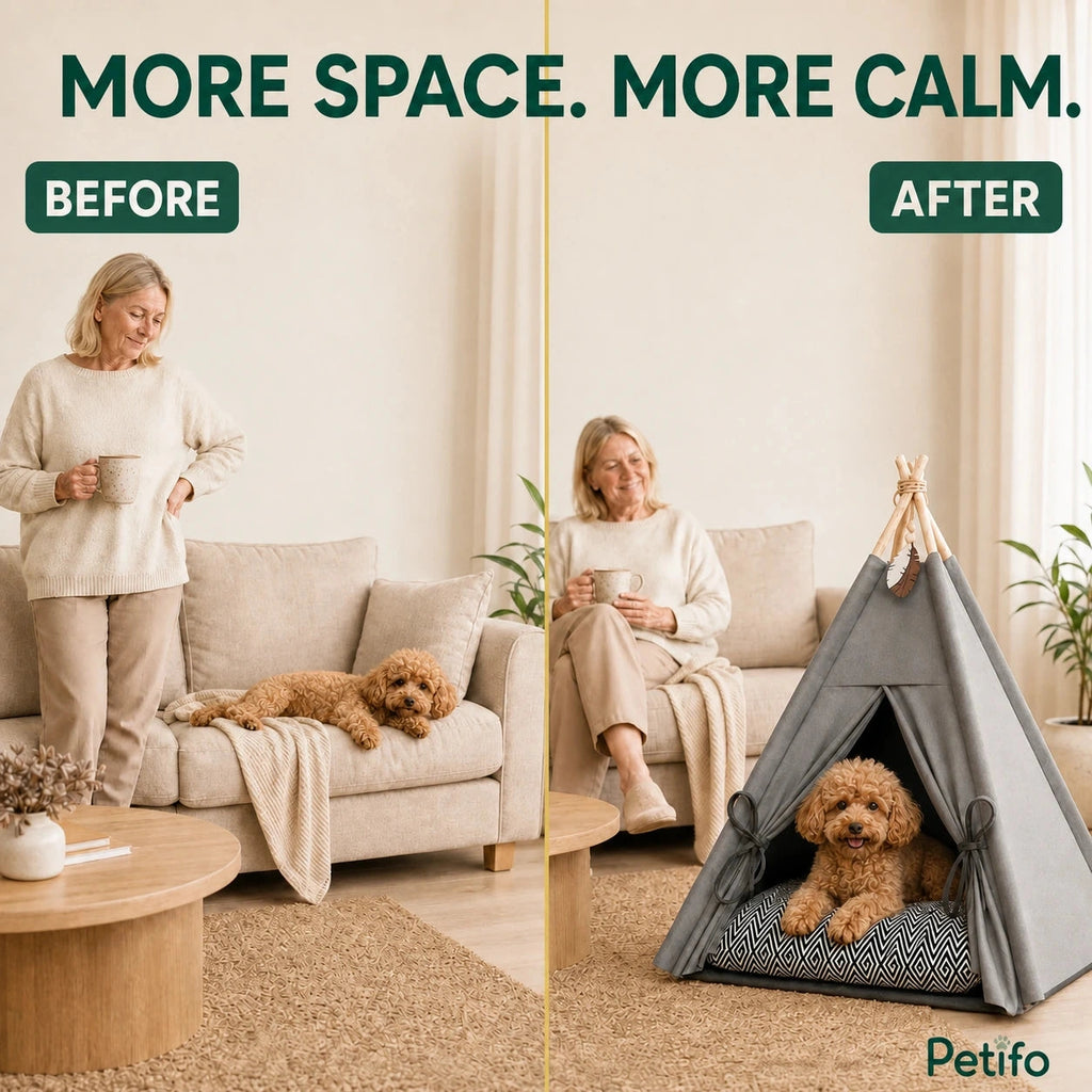 PawHut teepee pet bed: Small dog resting calmly in the teepee bed near its owner - Petifo