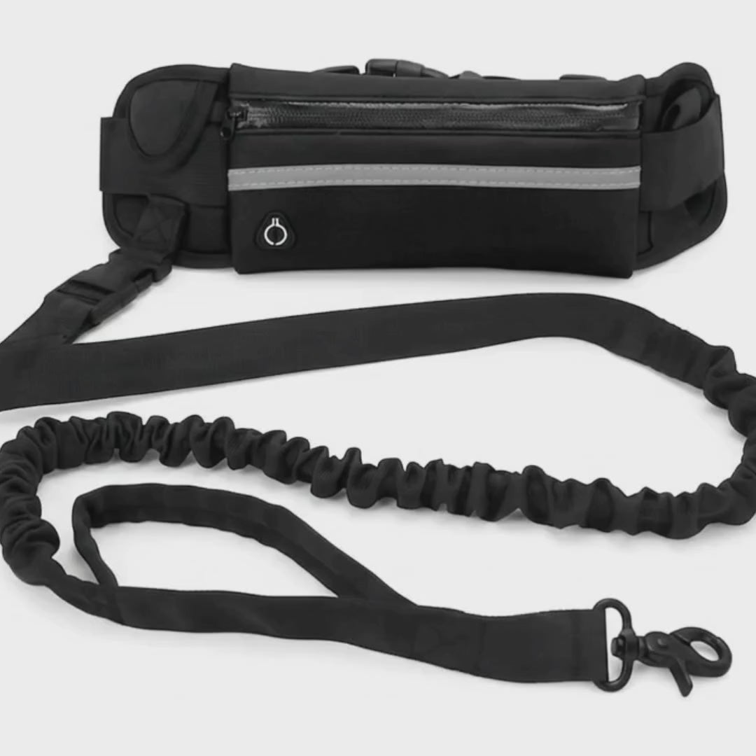 Walking hands-free with the Flexura lead clipped to the waist bag – Petifo