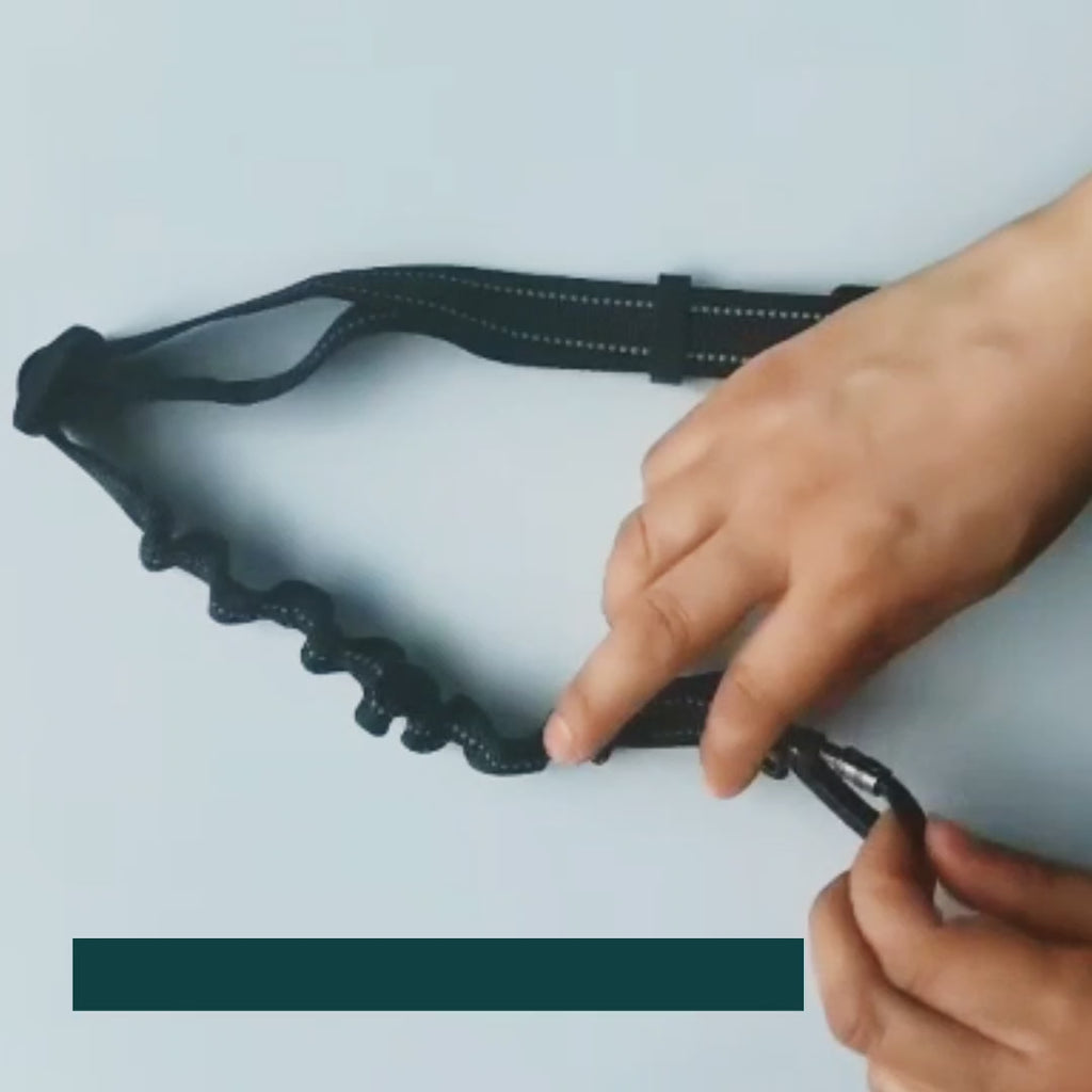 Heavy-duty pet seat belt securing a dog during a car journey - Petifo