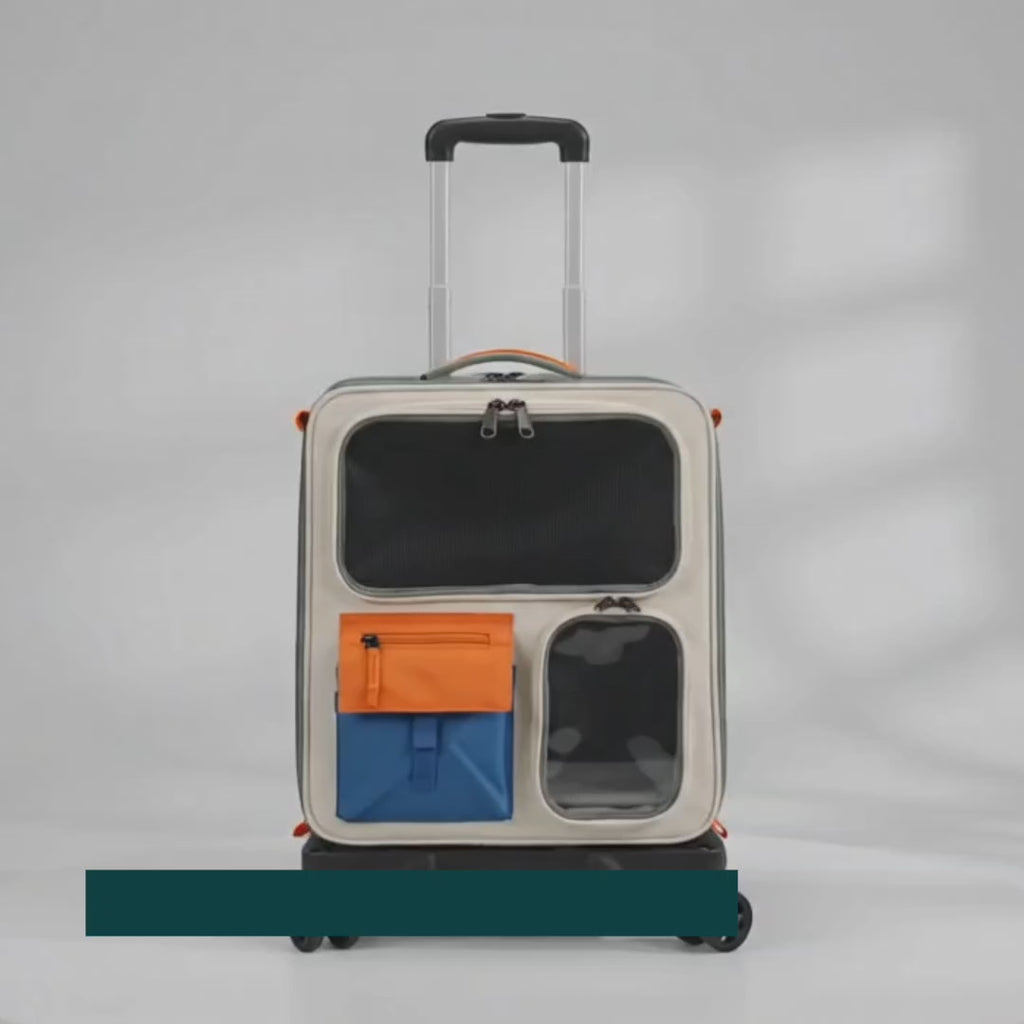 Pawresa pet carrier switching between backpack and trolley use – Petifo
