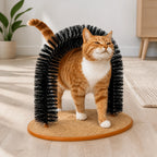 Cat using the Purrnivo self-groomer at home - Petifo