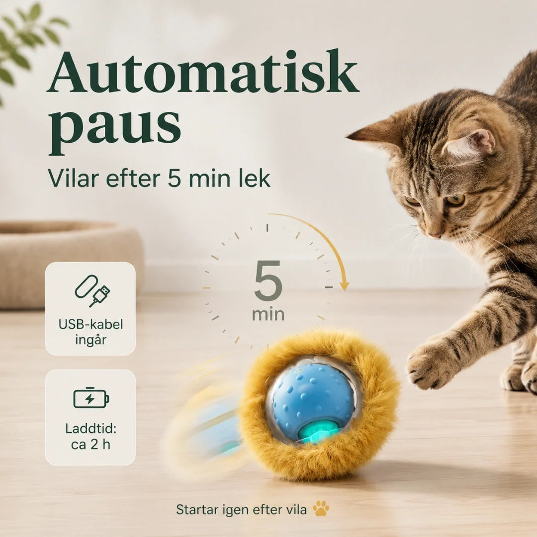 Purrnivo Self-Rolling Play Ball for Cats automatic pause - Petifo