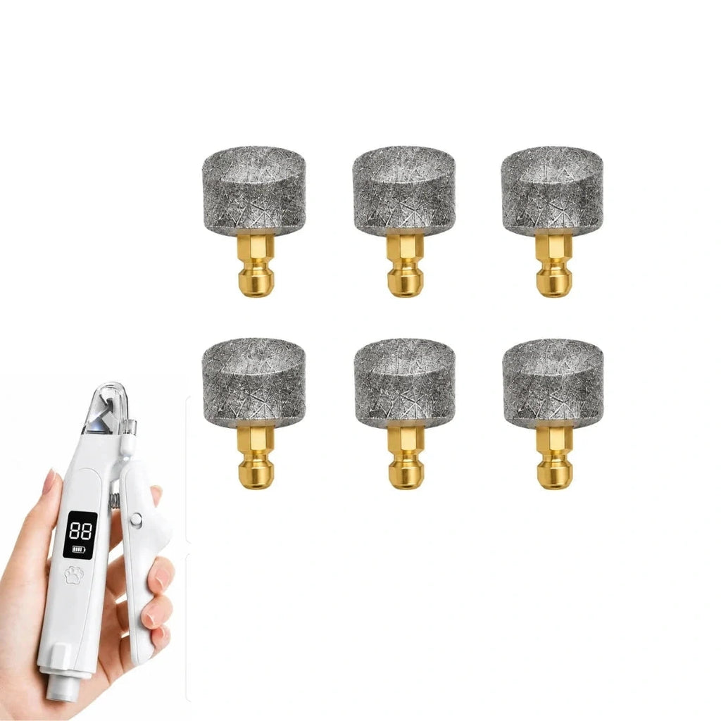 Silvetti replacement nail grinder heads: Six replacement nail grinder heads beside the compatible tool - Petifo