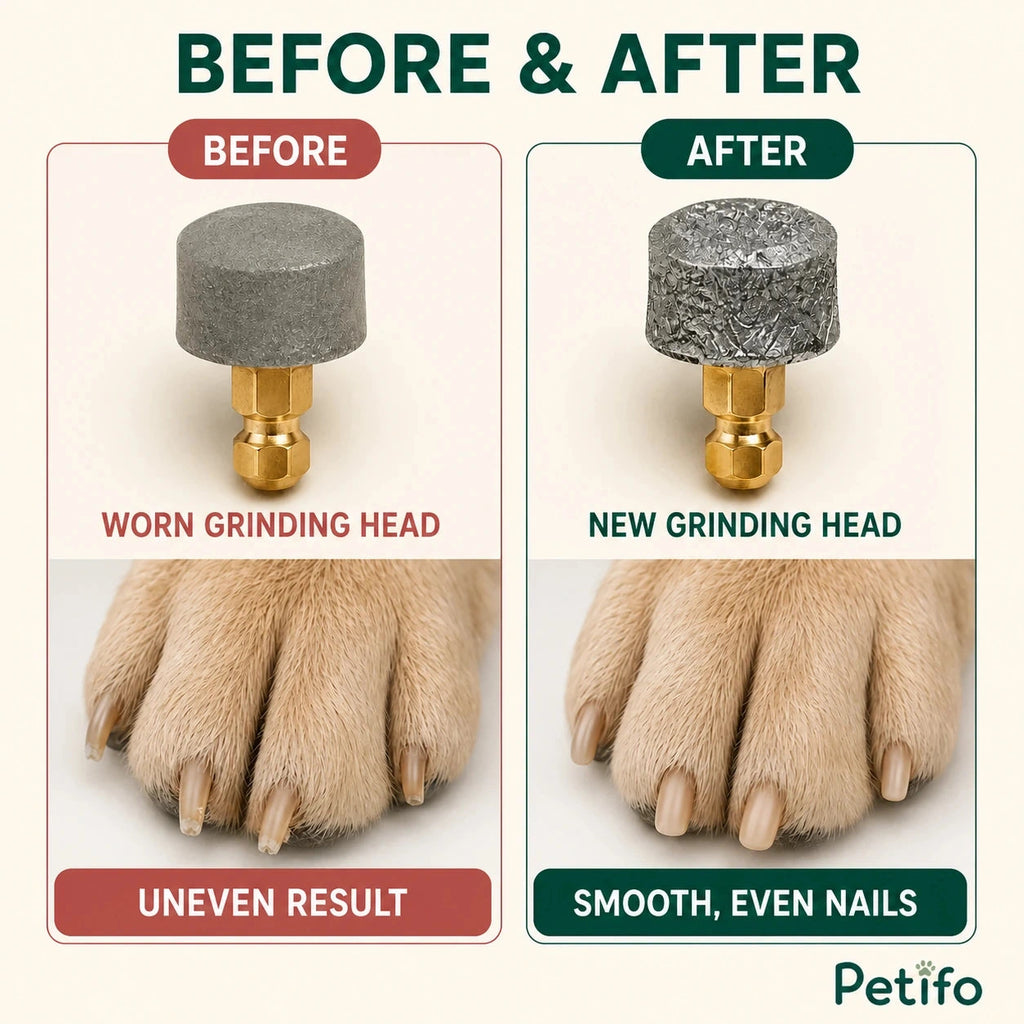 Silvetti replacement nail grinder heads: Worn and new nail grinder heads with nail finish comparison - Petifo