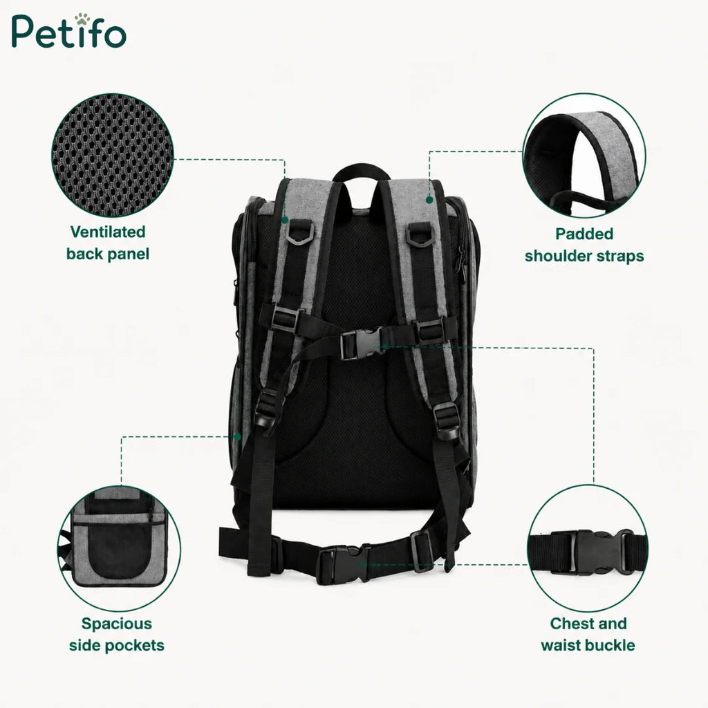 Rear view of the gray pet backpack highlighting its ventilated back panel, padded shoulder straps, and adjustable chest and waist buckles.